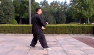 杨氏太极拳85式如何发力 85式太极拳