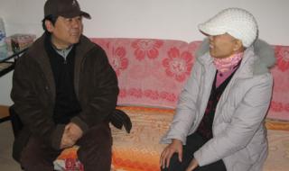 王洁实谢丽斯是夫妻吗 王洁实简历