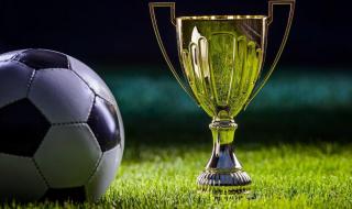 2021欧洲国家杯比分 欧洲杯2021c罗几强